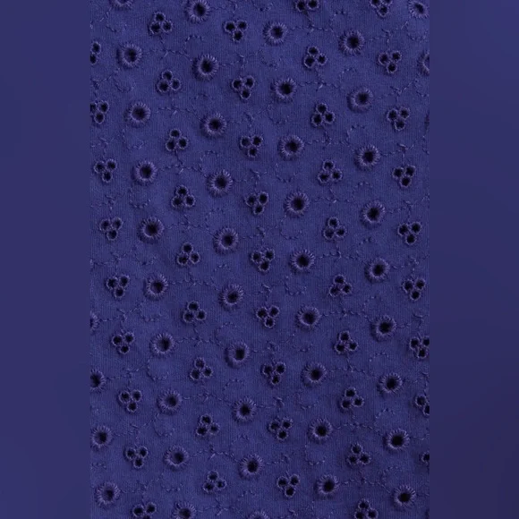 NWT Free People Apricot Rose Puff Sleeve Eyelet Dress in Living Indigo - Picture 9 of 14